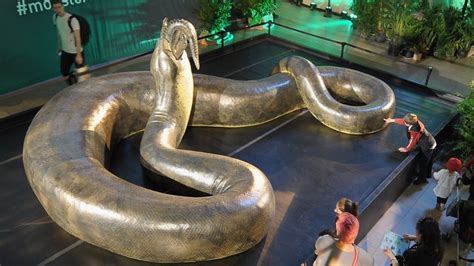 how did the titanoboa go extinct